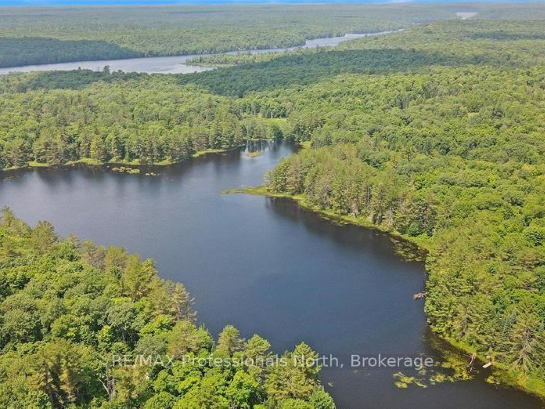 1134 WALKERS LINE ROAD, 