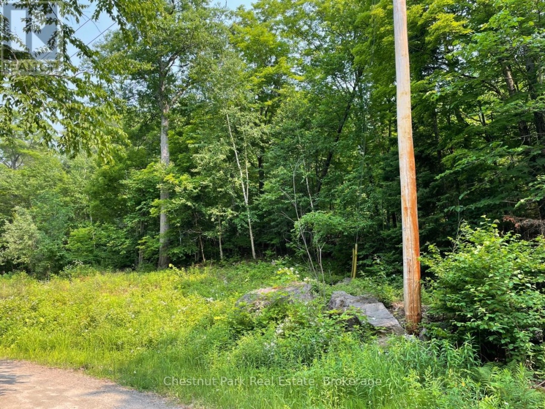 0 COLEMAN LAKE ROAD, Dysart et al (Guilford)