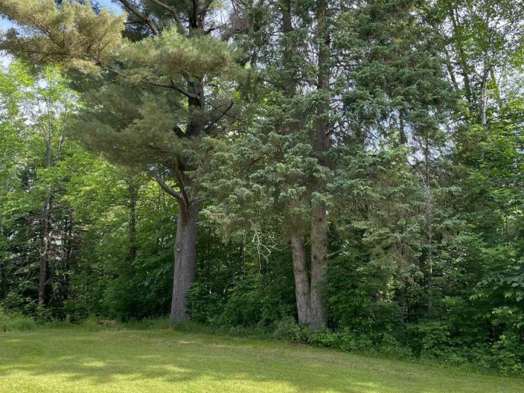 1329 DUCK LAKE ROAD, Minden Hills (Minden)