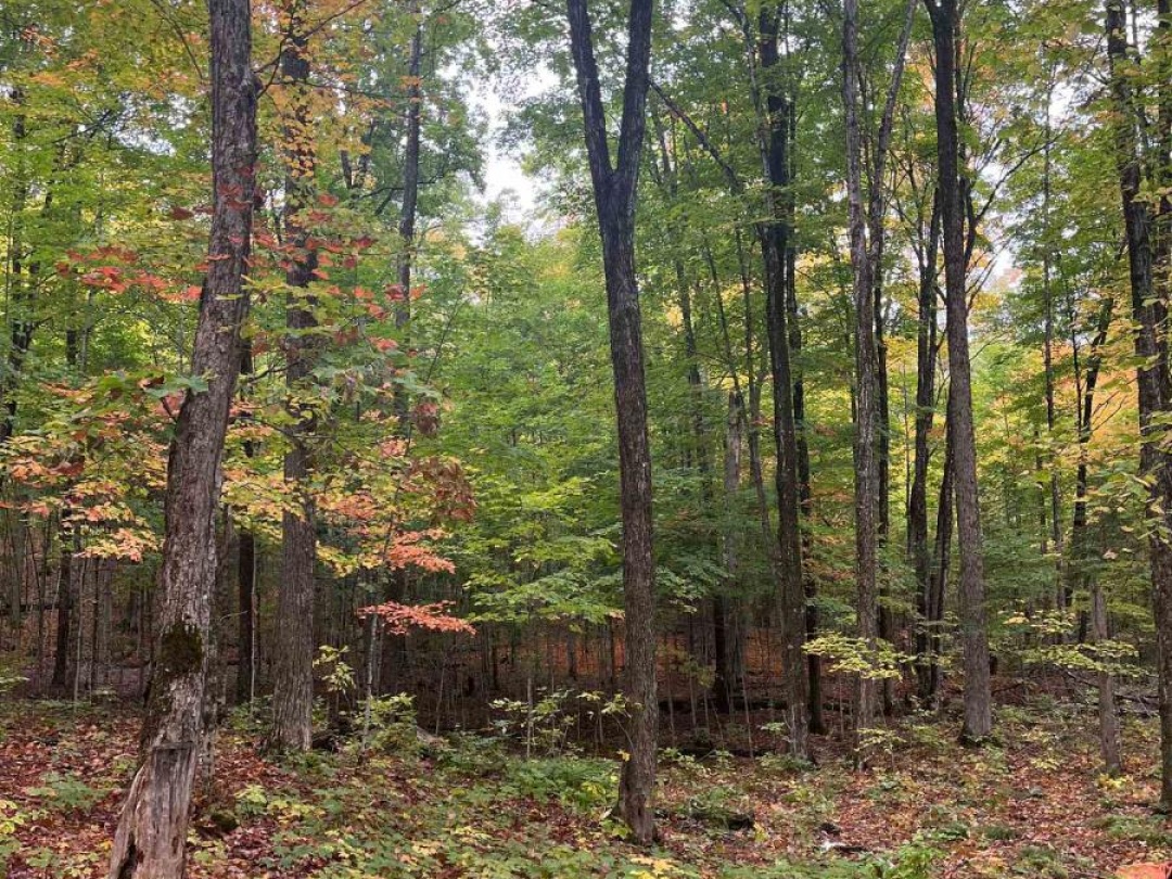 1645 SOUTH LAKE ROAD, Minden Hills (Snowdon)