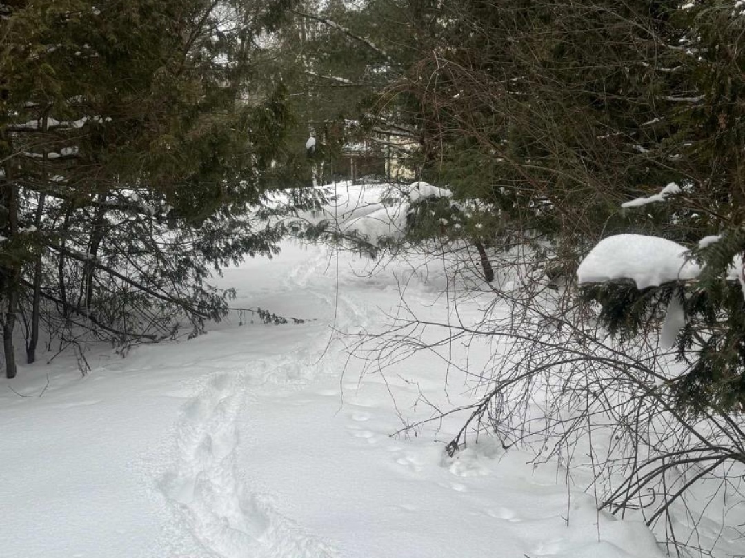 169 DUTCH LINE ROAD W, Shadow Lake