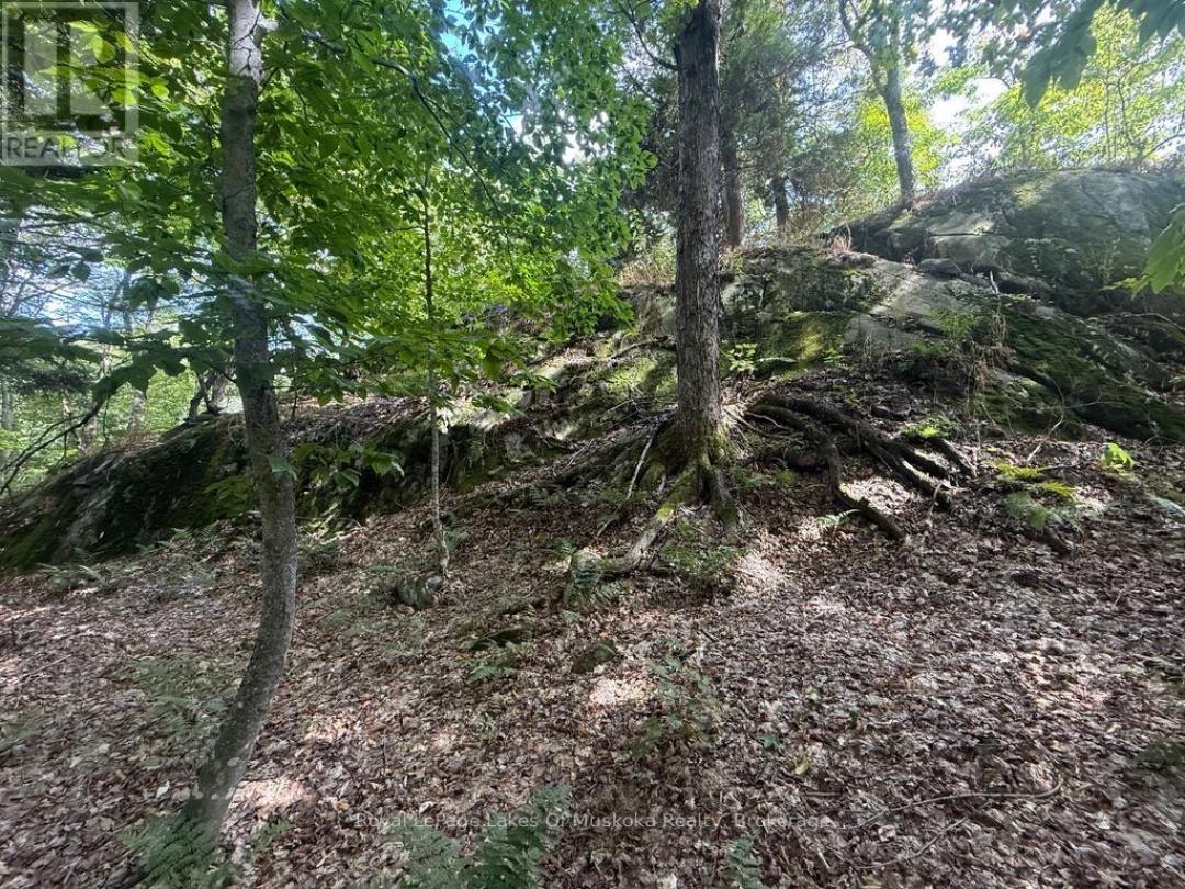 LOT 85 BRENNAN CIRCLE, Lake Vernon