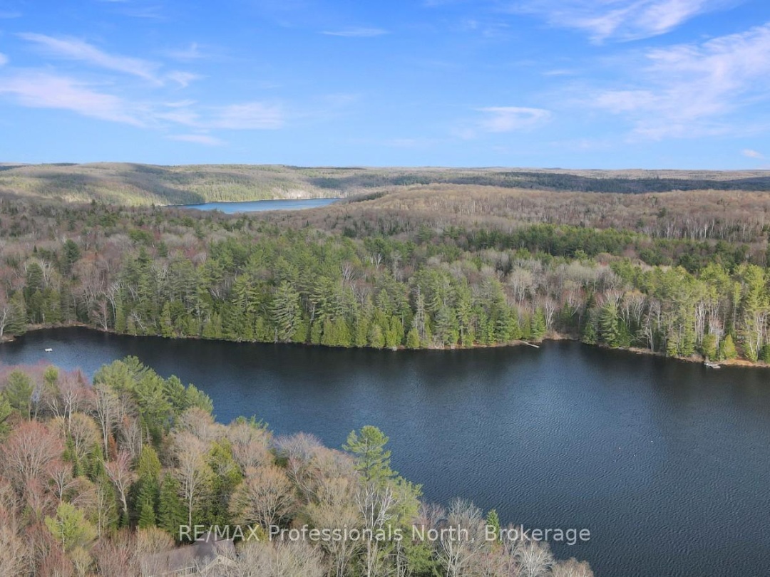 1107 PLUTO TRAIL, Boyne Lake