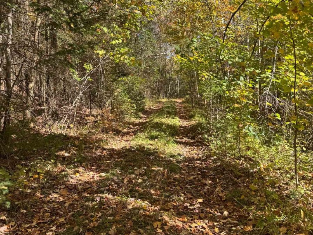 0000 KOSHLONG LAKE ROAD, 