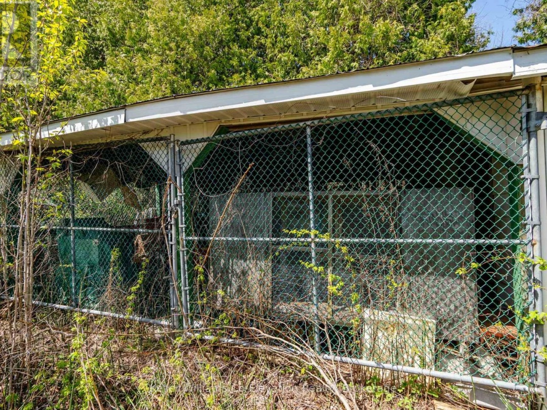 12824 COUNTY ROAD 16 ROAD, 