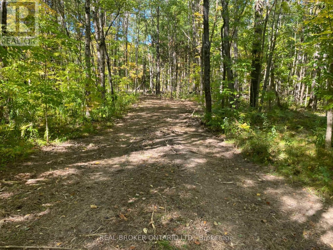 1248 BEIERS ROAD, Gravenhurst (Morrison)