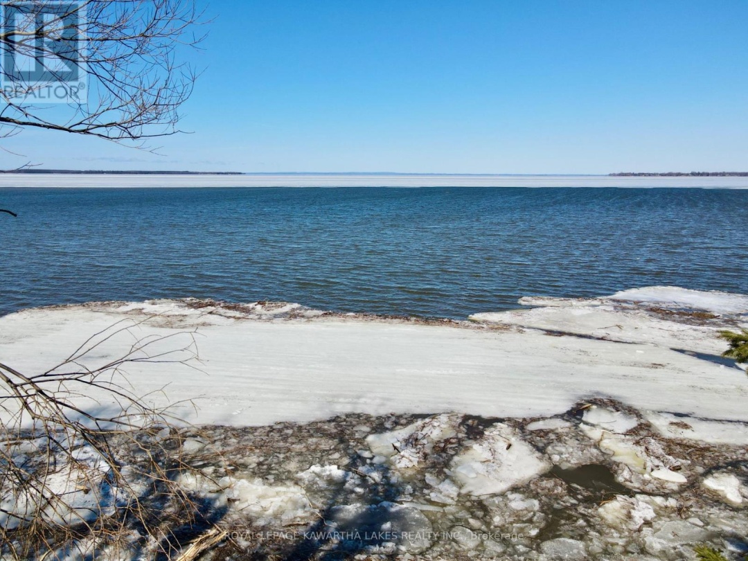 92 ALSOPS BEACH ROAD, Lake Simcoe