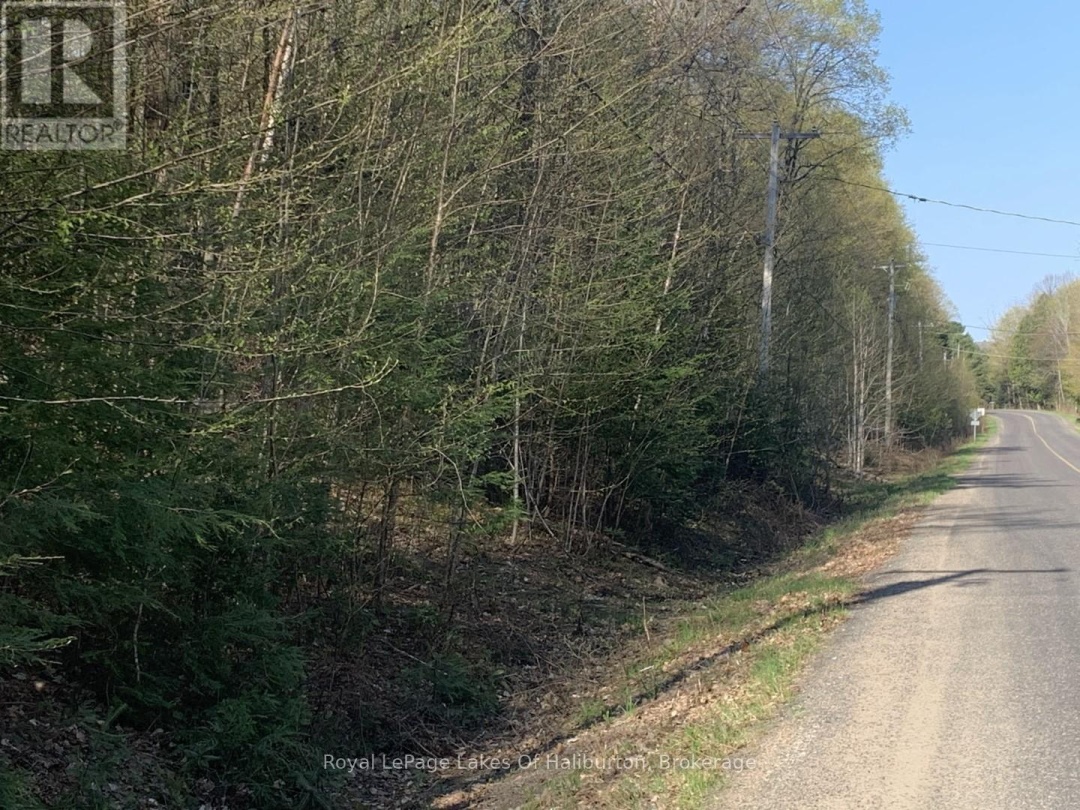 0 KASHAGAWIGAMOG LAKE ROAD, 