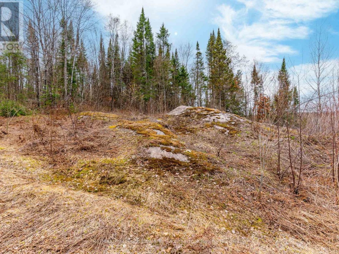 0 BRADY LAKE ROAD, Brady Lake