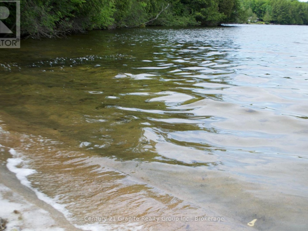 LOT 10 LOON LAKE ROAD S, Loon Lake