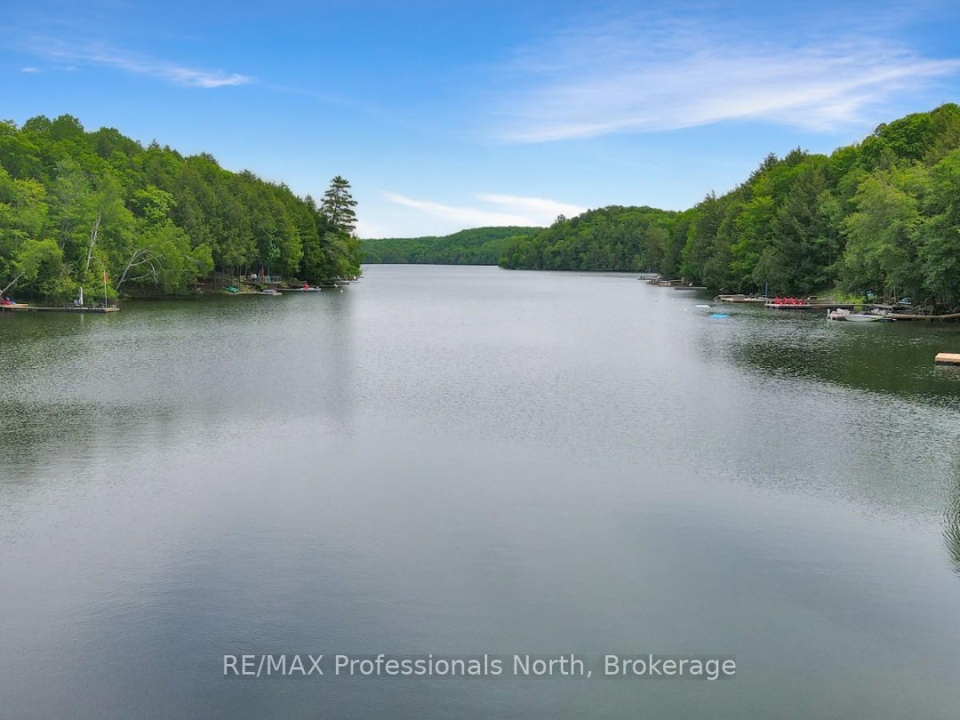 1039 MINK ROAD, Long Lake