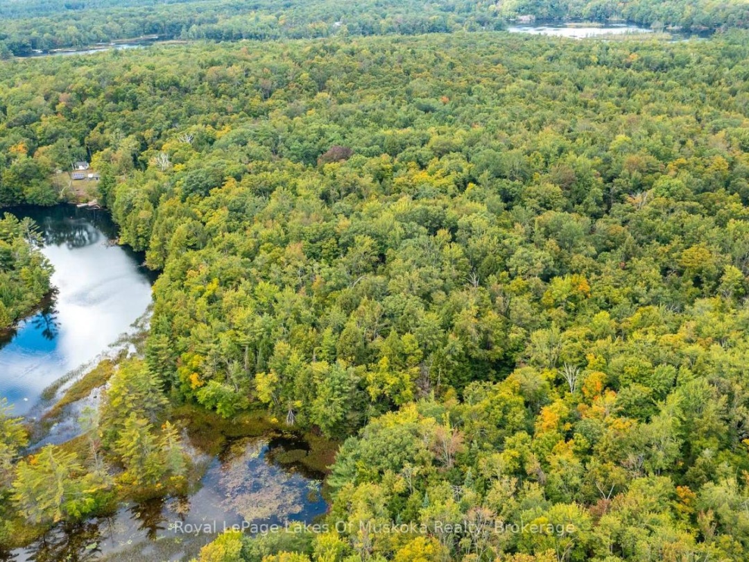 0 MUSKOKA RIVER, 