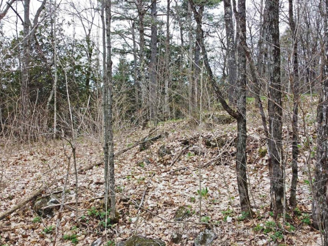 LOT 1 SHIELDS DRIVE, Horseshoe Lake