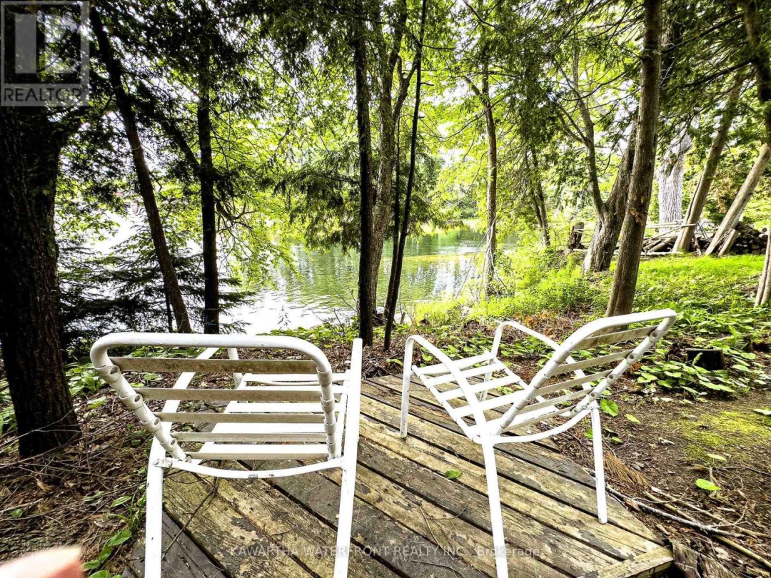 25 GOVERNMENT DOCK ROAD, 