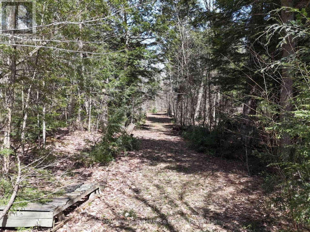 0 PETER ROAD, Bracebridge (Macaulay)