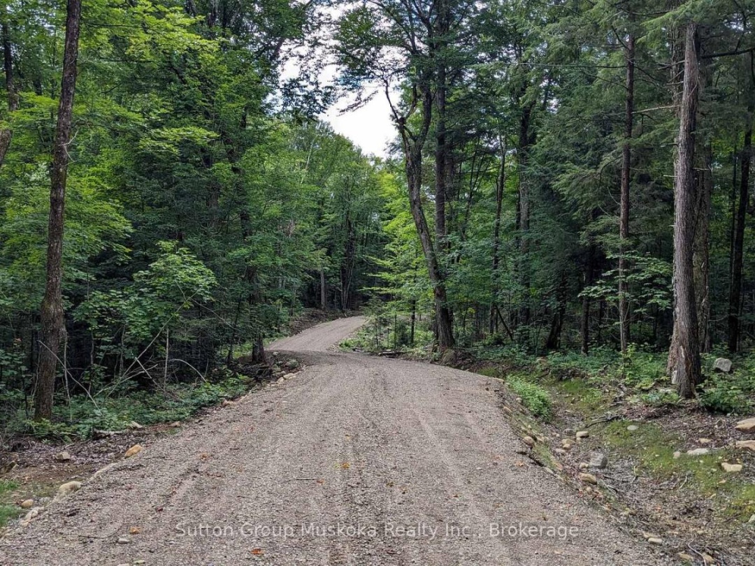 LOT 1 ESIG LANE, Rebecca Lake