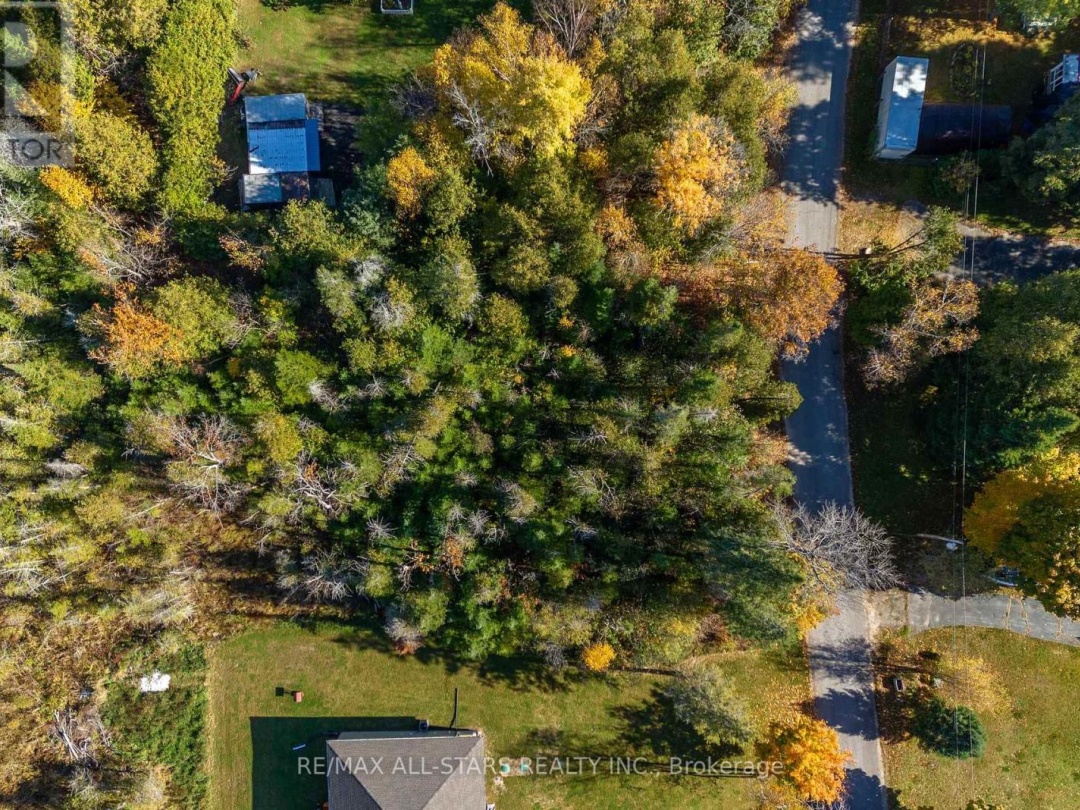 Lot 0 North Bayou Road, Kawartha Lakes