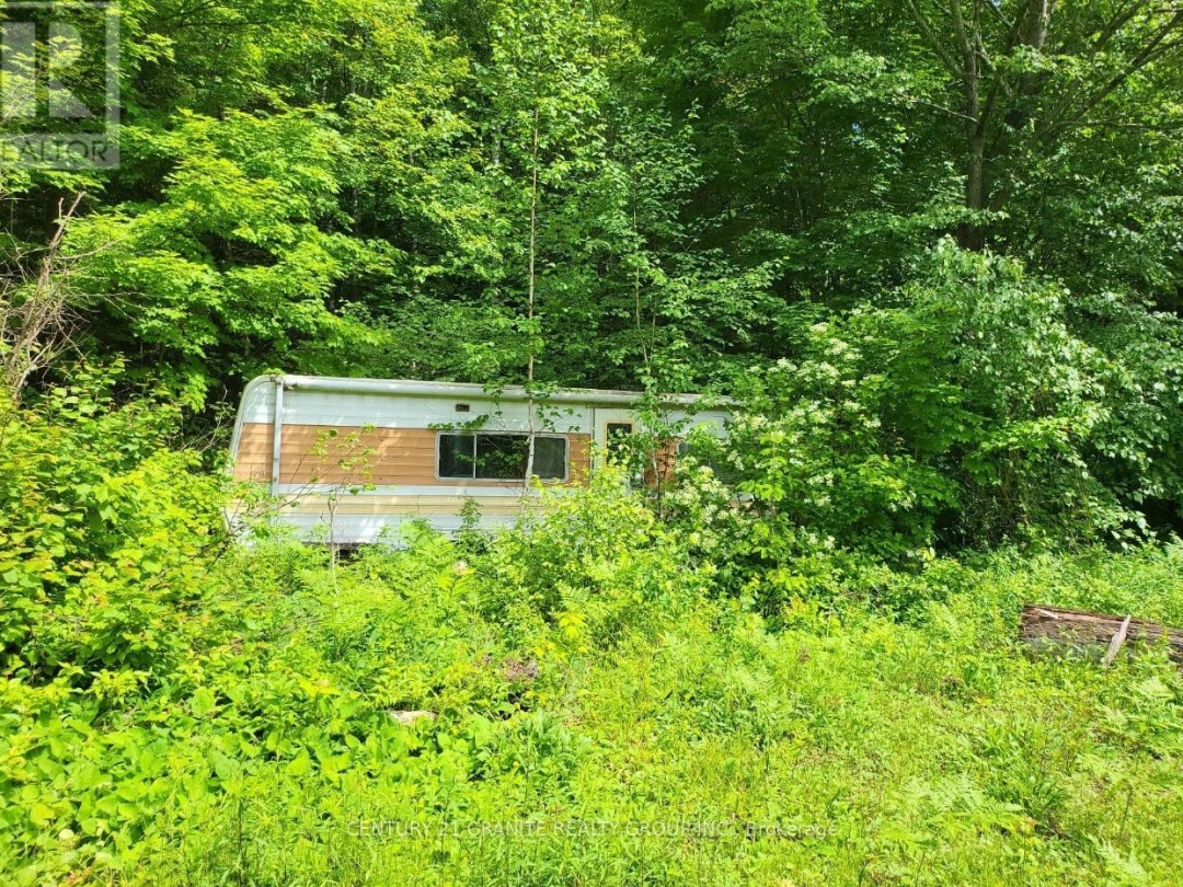 0000 KOSHLONG LAKE ROAD, 