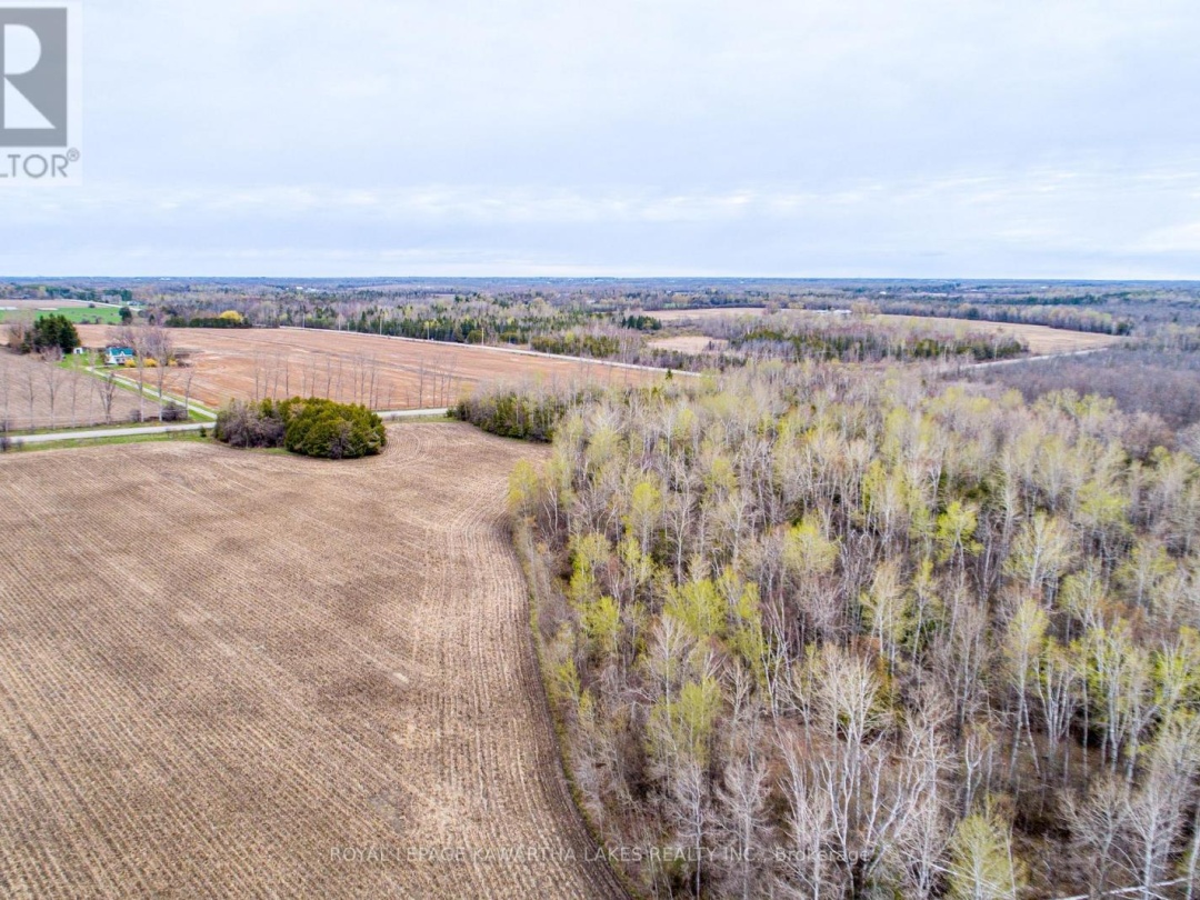 890 RAMSEY ROAD, Kawartha Lakes (Mariposa)