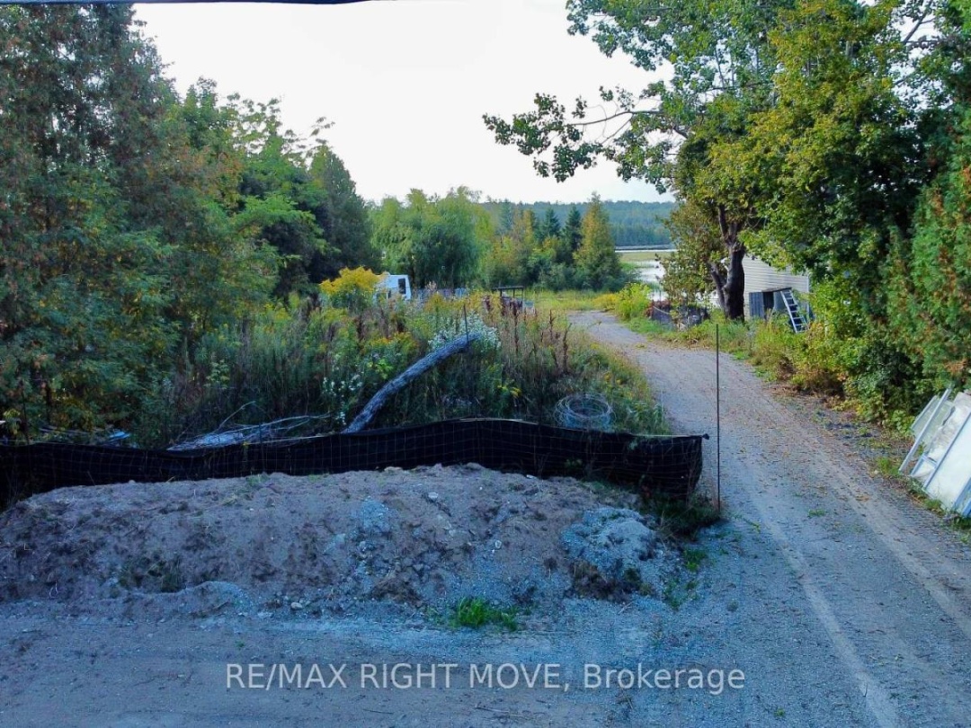 175 MCGUIRE BEACH ROAD, 