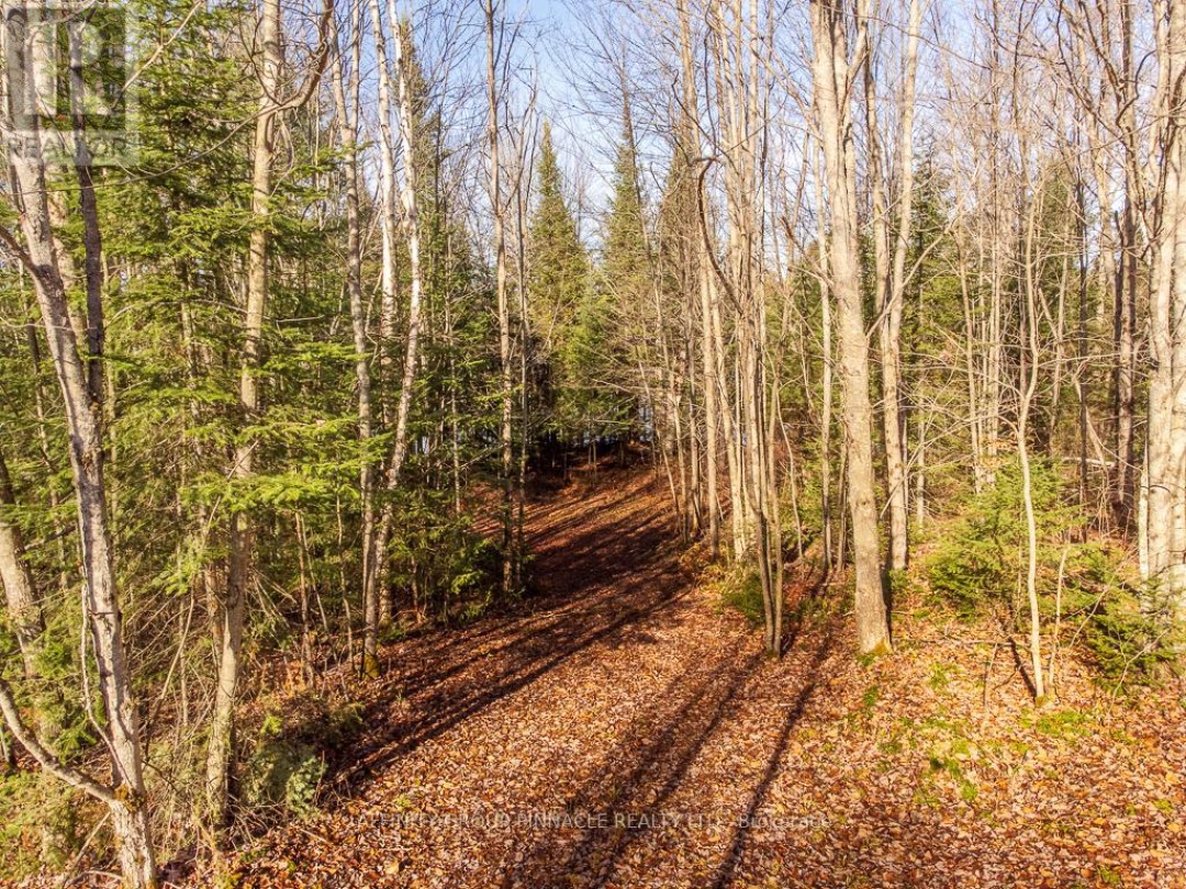 LOT 7 COMFORT DRIVE, Trooper Lake