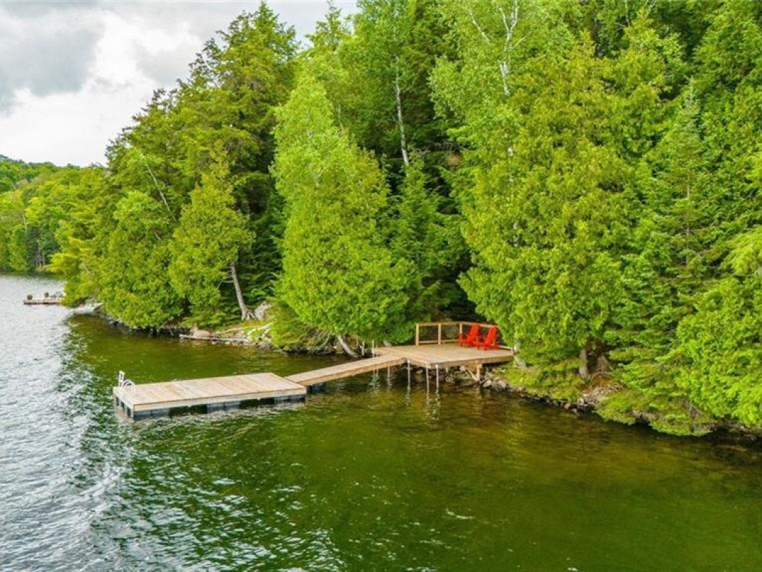 1069 Major Trail, Miskwabi Lake