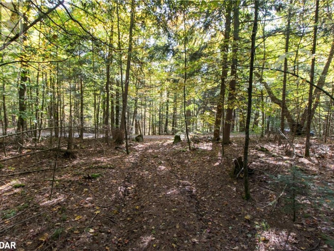 0 LYNX LAKE Road, 