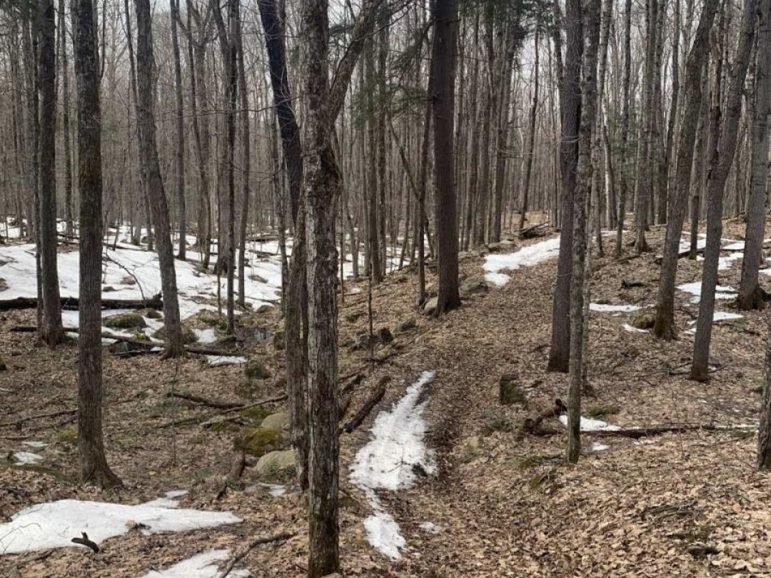 0 KASHAGAWIGAMOG LAKE ROAD, Dysart et al (Dysart)