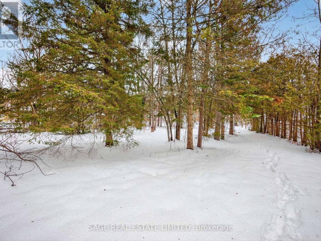 7856 BIRCH DRIVE, Black River