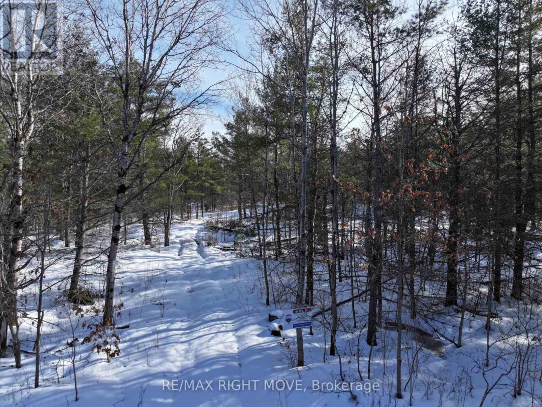 2503 SOUTHWOOD ROAD, Gravenhurst (Morrison)