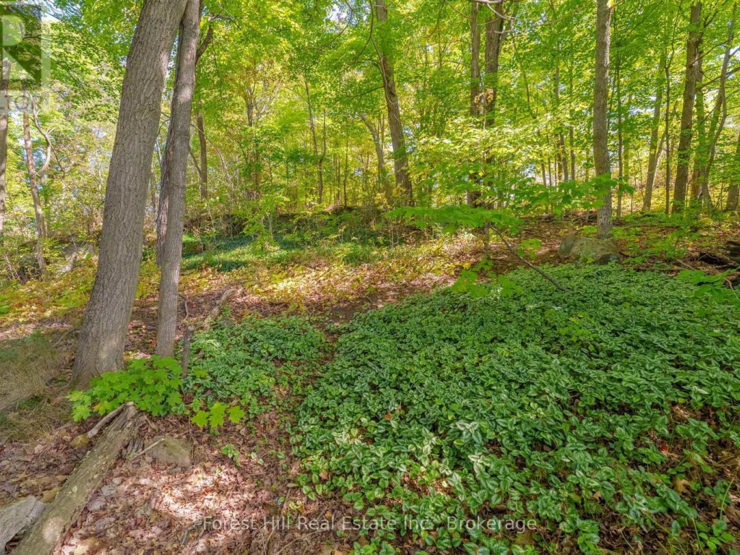 1 MAPLECREST COURT, Huntsville (Chaffey)
