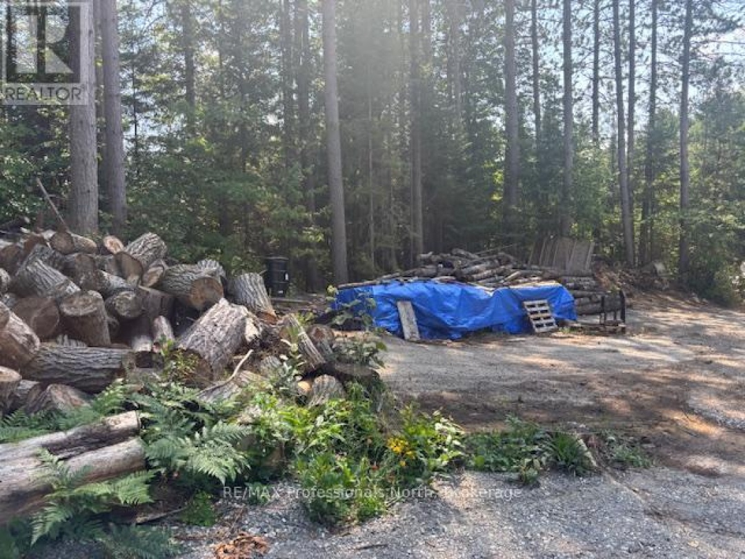 2816 GELERT ROAD, 