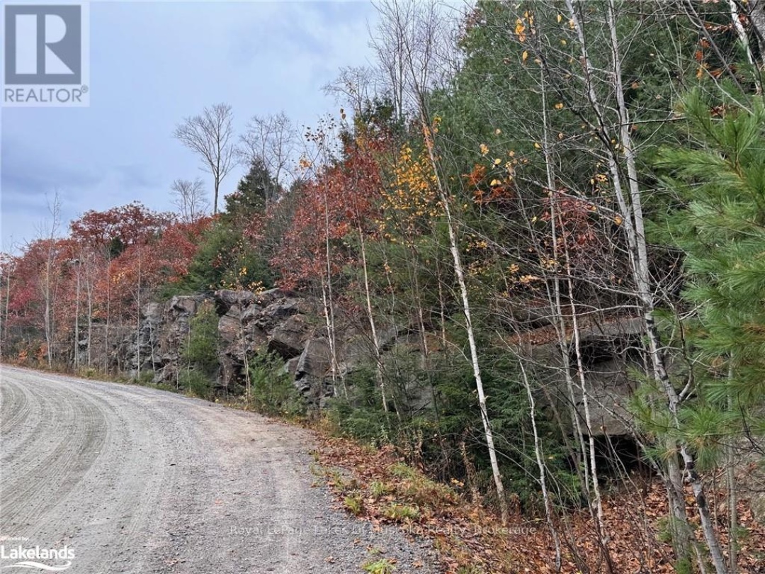 0 LATVIAN ROAD, Bracebridge (Draper)