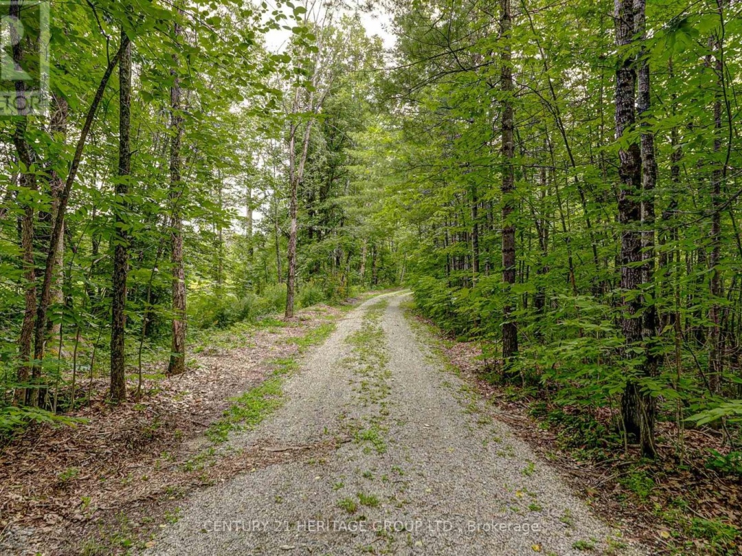 4411 UPPER BIG CHUTE ROAD, 