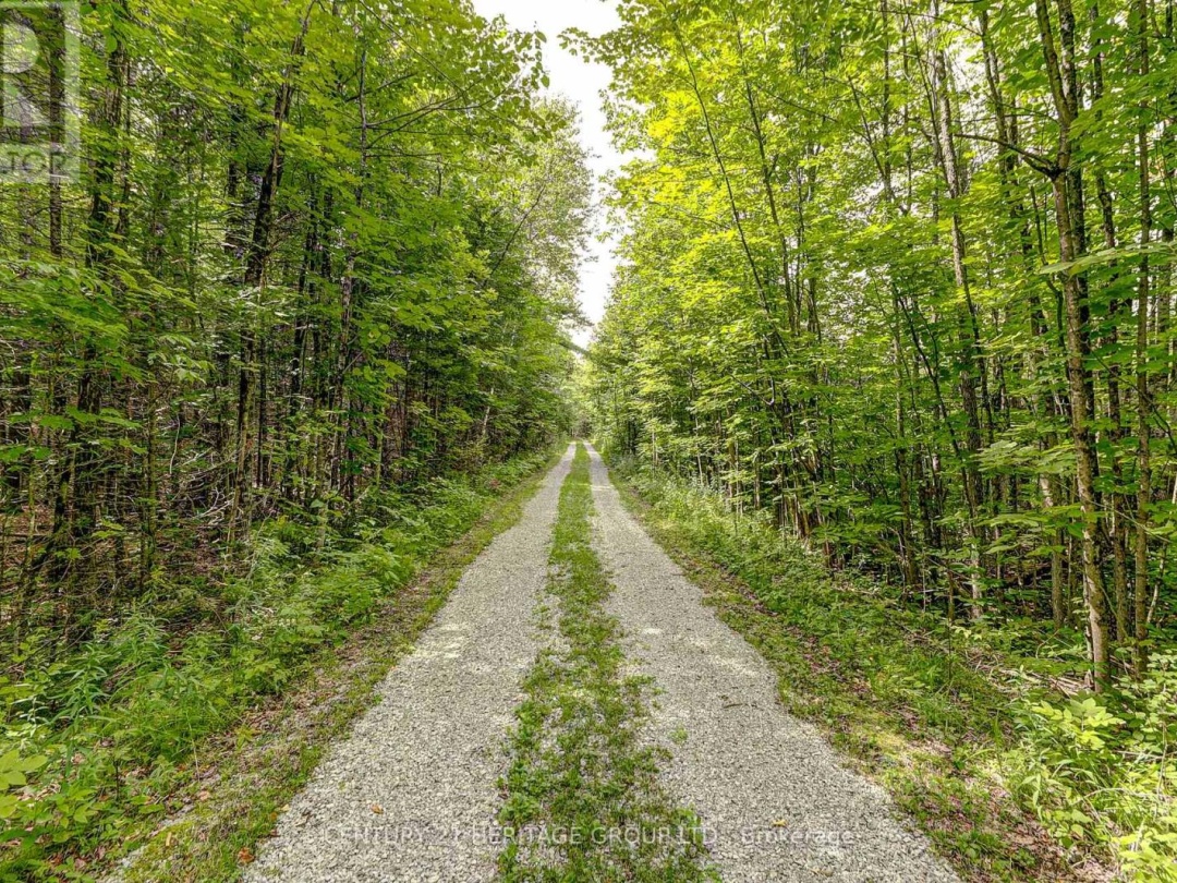 4411 UPPER BIG CHUTE ROAD, 