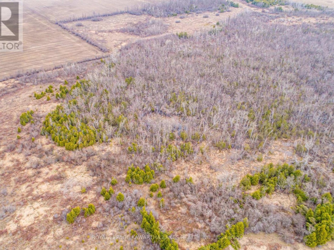 210 GRASSHILL ROAD, Kawartha Lakes (Woodville)