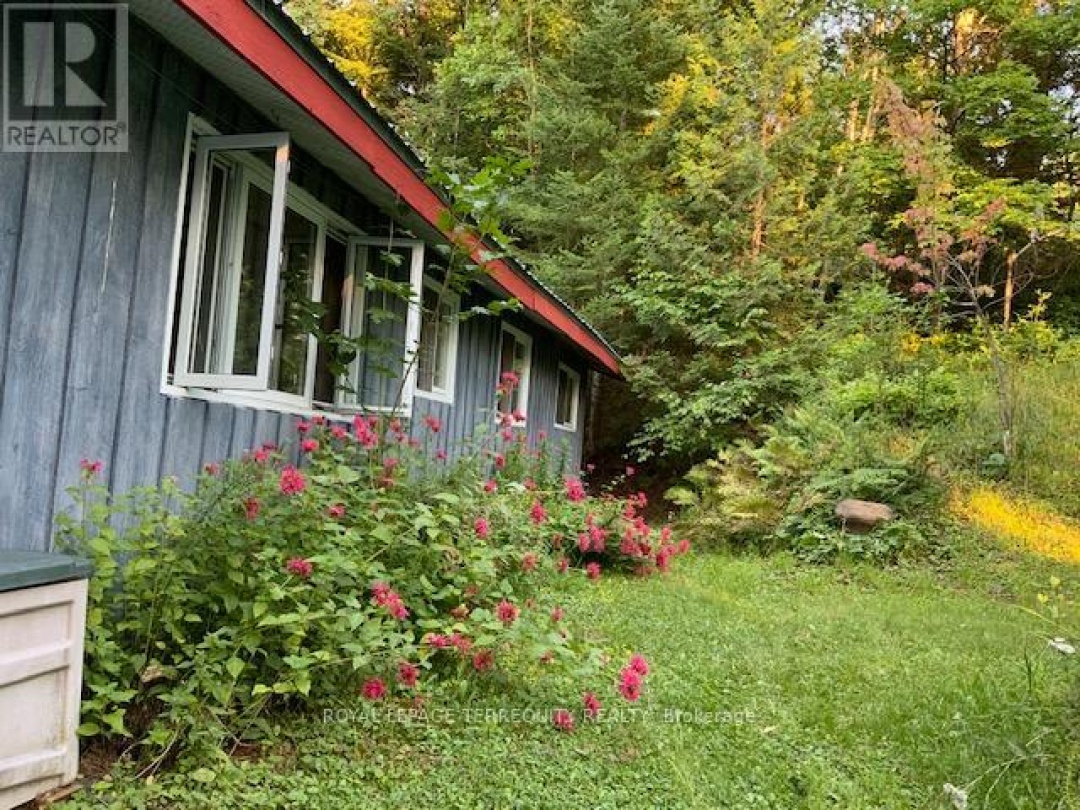1012 SHAMROCK LANE, Cranberry Lake