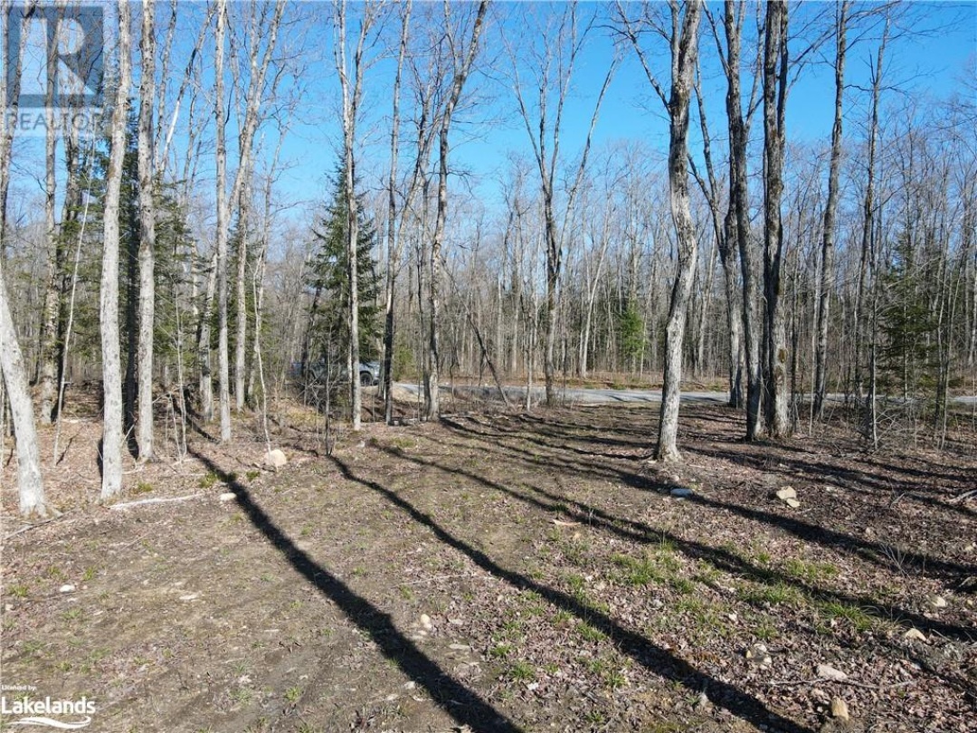 244A Riverside Drive, Magnetawan River