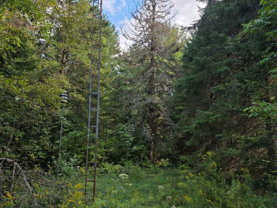 671 LYNX LAKE ROAD, 