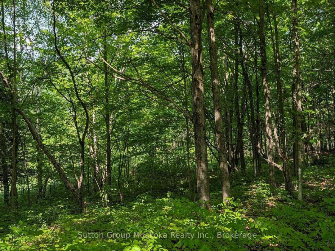 LOT 2 TALLY-HO WINTER PARK ROAD, 