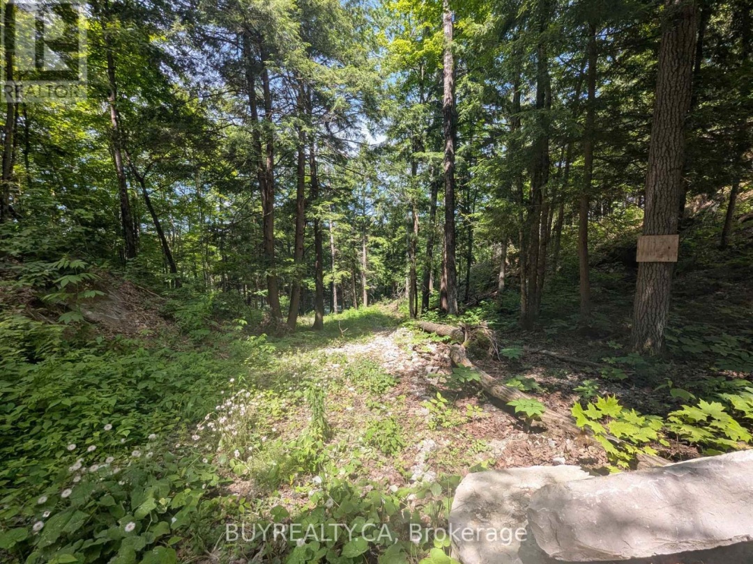 2318 SHERWOOD FOREST LANE, Severn River