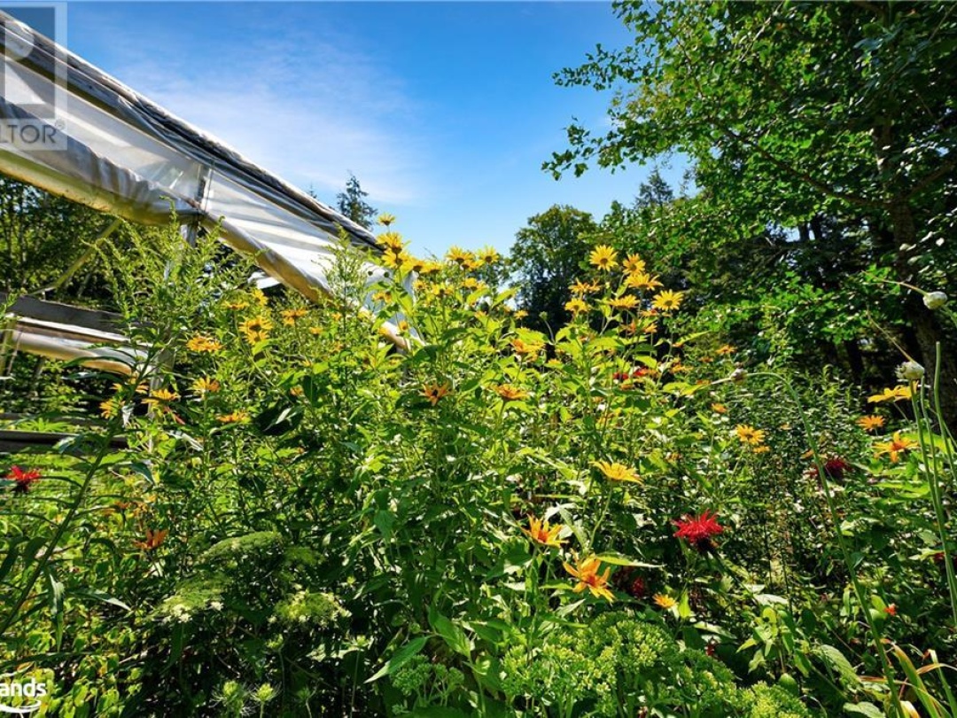 1842 Buckslide Road, Algonquin Highlands