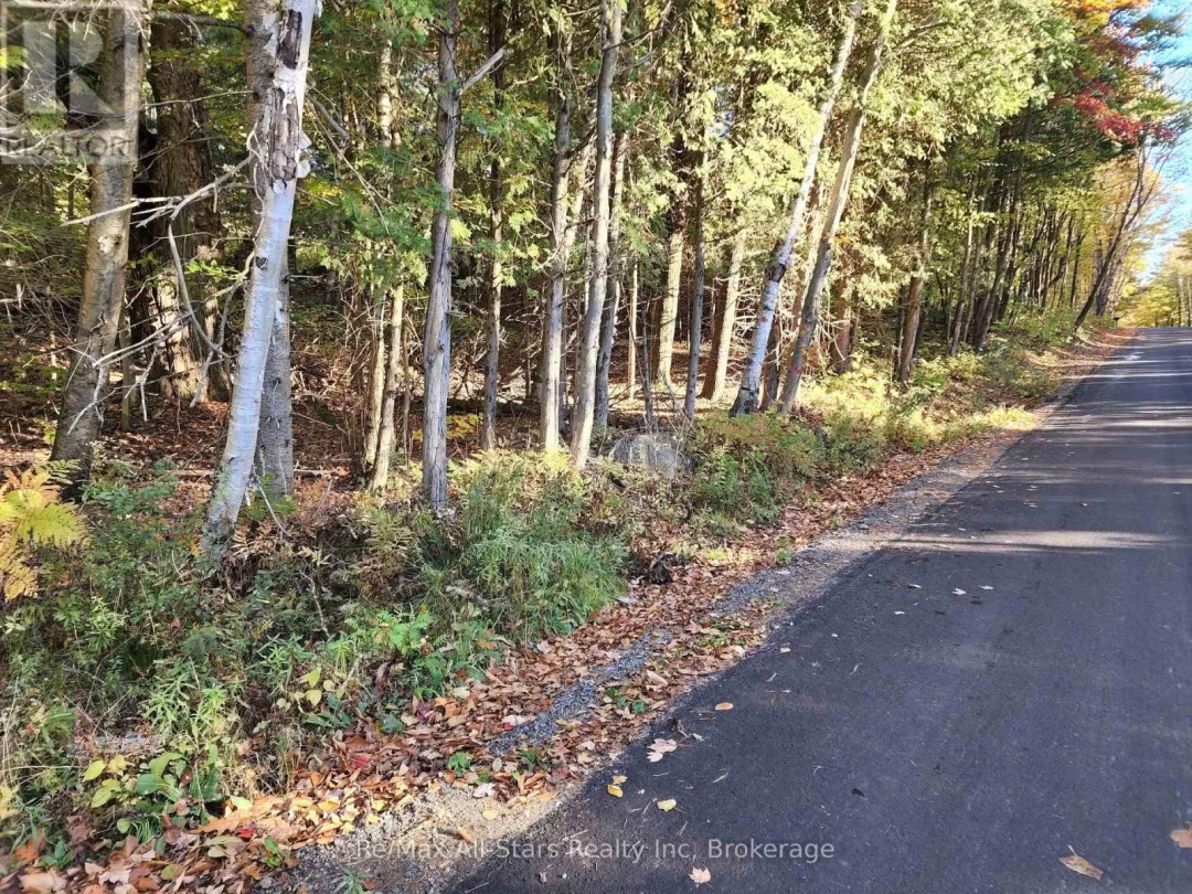 A TALLY HO WINTER PARK ROAD, Lake of Bays (Sinclair)