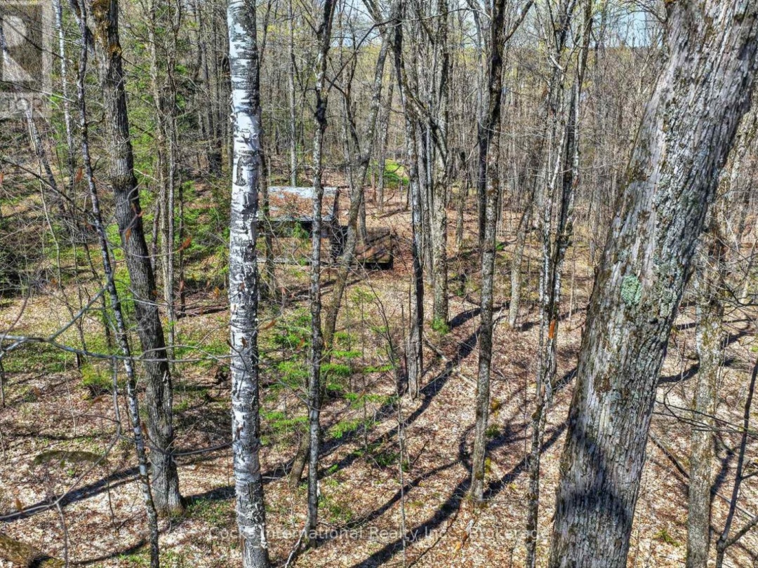 1165 SPRING LAKE ROAD, Spring Lake