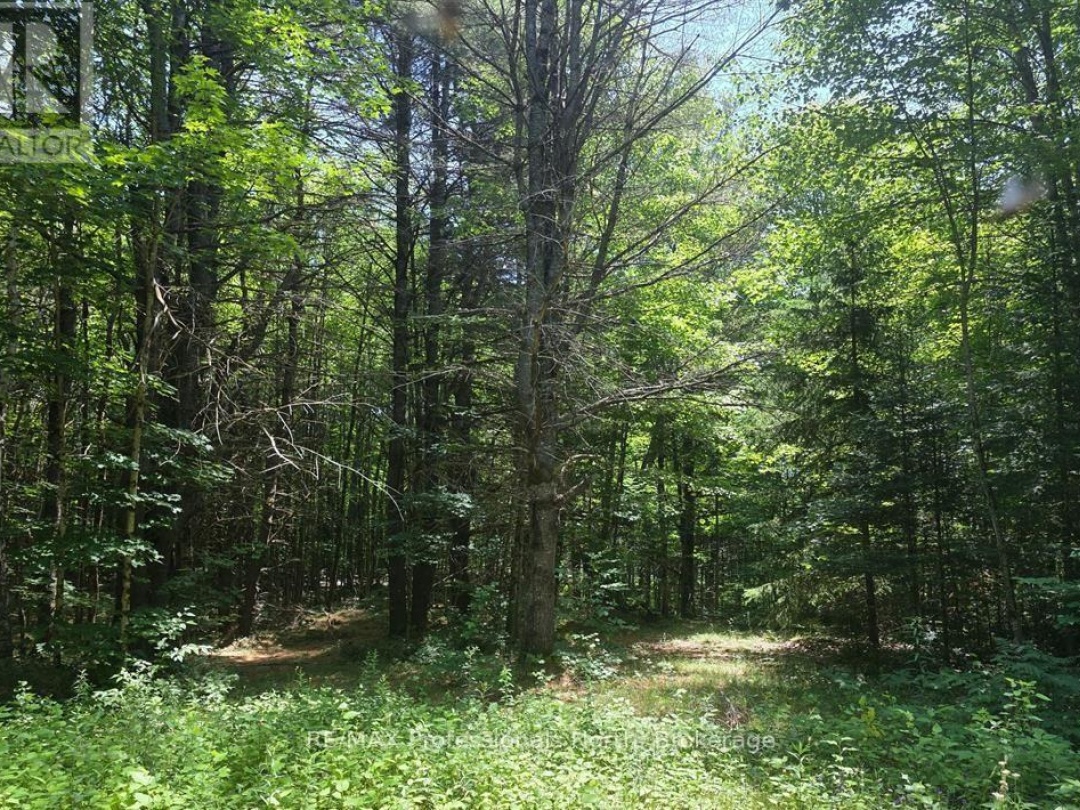 1134 WALKERS LINE ROAD, 