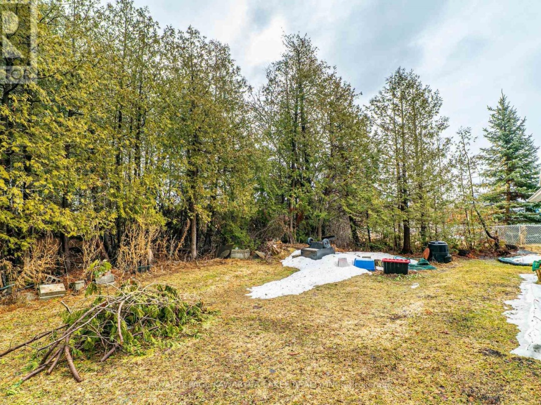 70 BLYTHE SHORE ROAD, Kawartha Lakes (Fenelon)