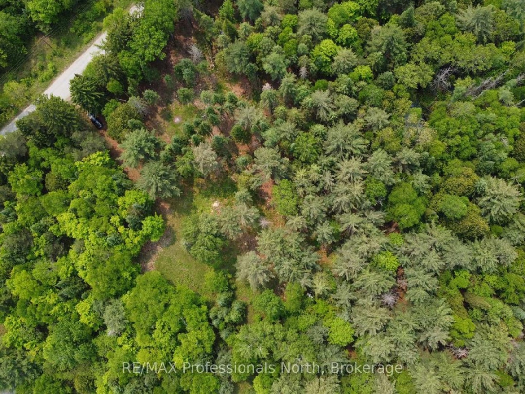 1897 BLAIRHAMPTON ROAD, Minden Hills (Minden)