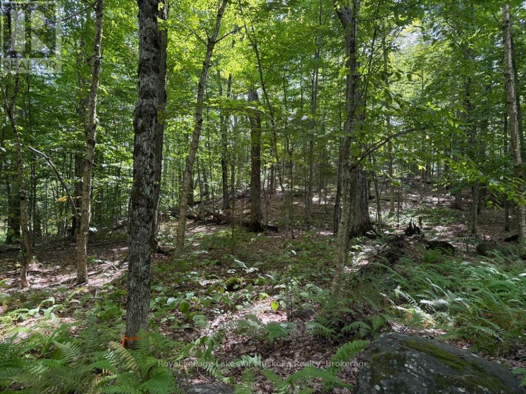 LOT 85 BRENNAN CIRCLE, Lake Vernon