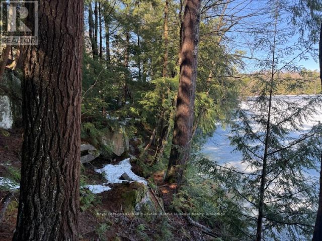 0 SOUTH CRANE LAKE ROAD, Crane Lake