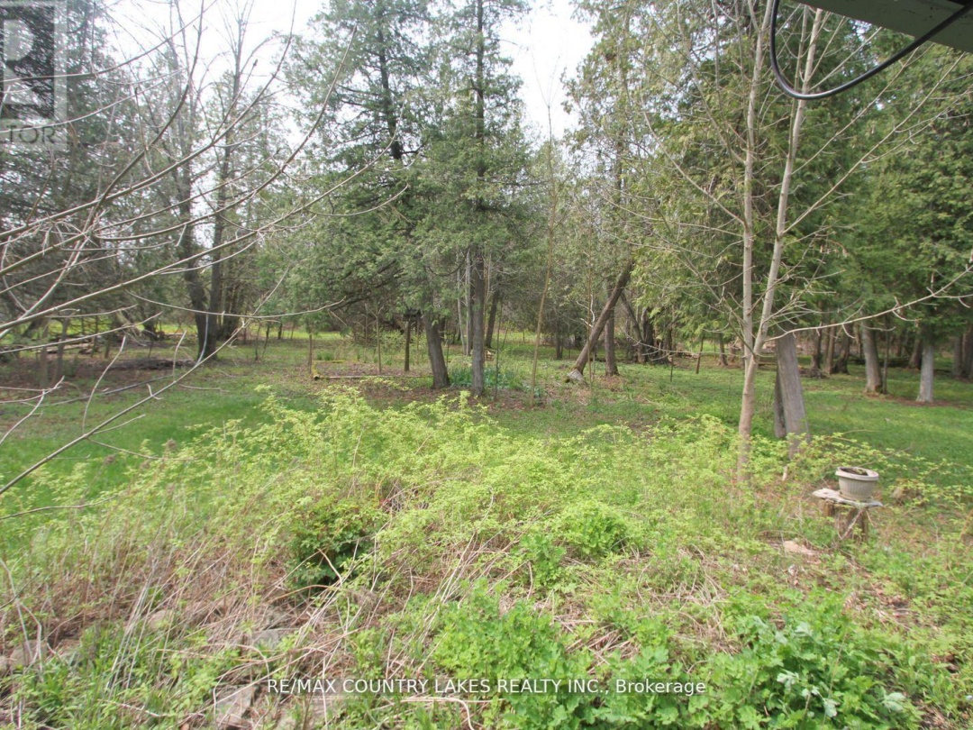 B40440 SHORE ROAD, Lake Simcoe